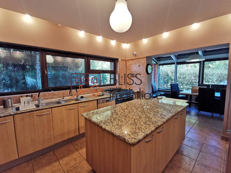 6-bedroom Villa With Garden Iancu Nicolae, Bucharest / Ilfov | Bliss Imobiliare / Photo 10 - BLISS Imobiliare