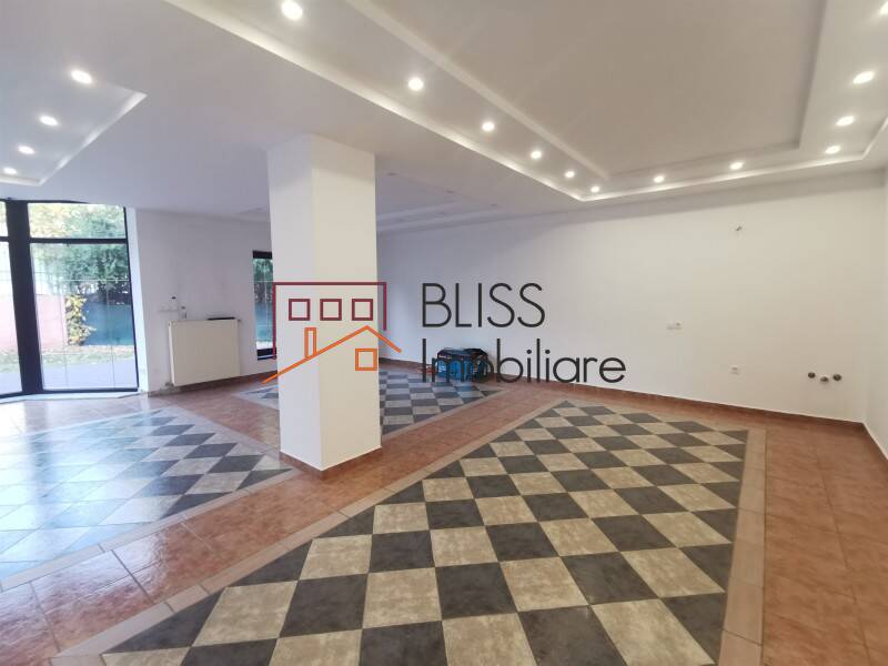 8 Bedroom Villa In Iancu Nicolae Area, Bucharest / Ilfov | Bliss Imobiliare / Photo 21 - BLISS Imobiliare