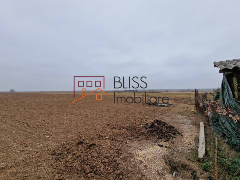 Photo 6 - BLISS Imobiliare