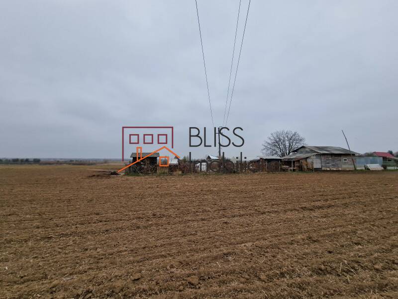 Photo 19 - BLISS Imobiliare