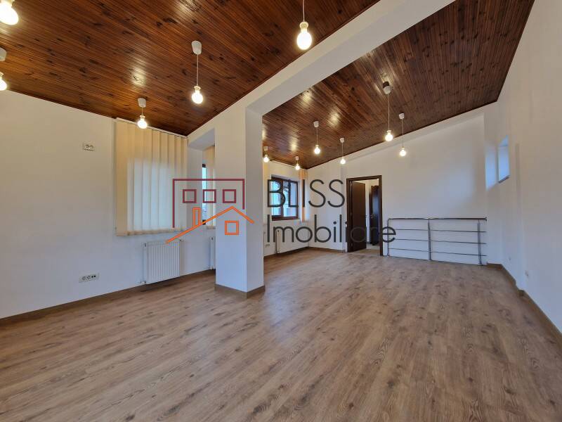 Spatiu Birouri In Piata Muncii-Decebal | Bliss Imobiliare / Photo 50 - BLISS Imobiliare