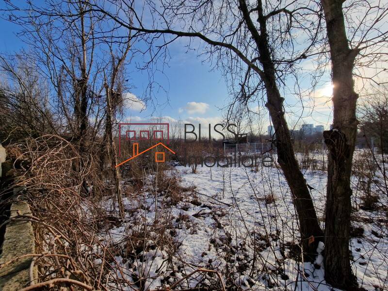 Photo 14 - BLISS Imobiliare