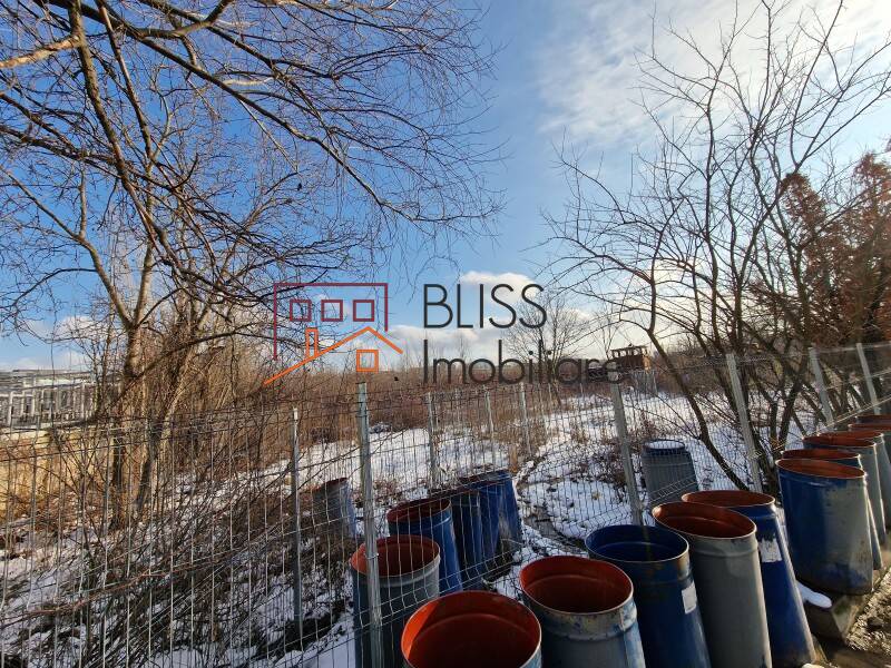 Photo 13 - BLISS Imobiliare