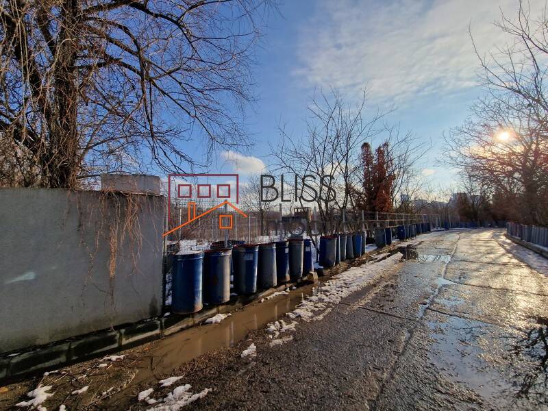 Photo 12 - BLISS Imobiliare