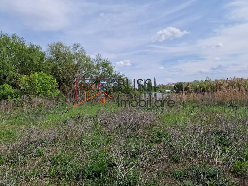 Photo 7 - BLISS Imobiliare