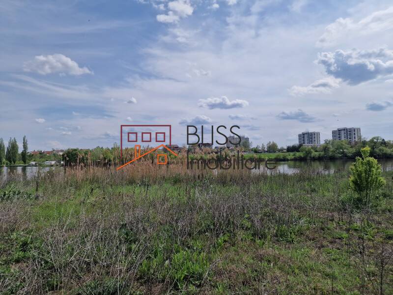 Photo 8 - BLISS Imobiliare