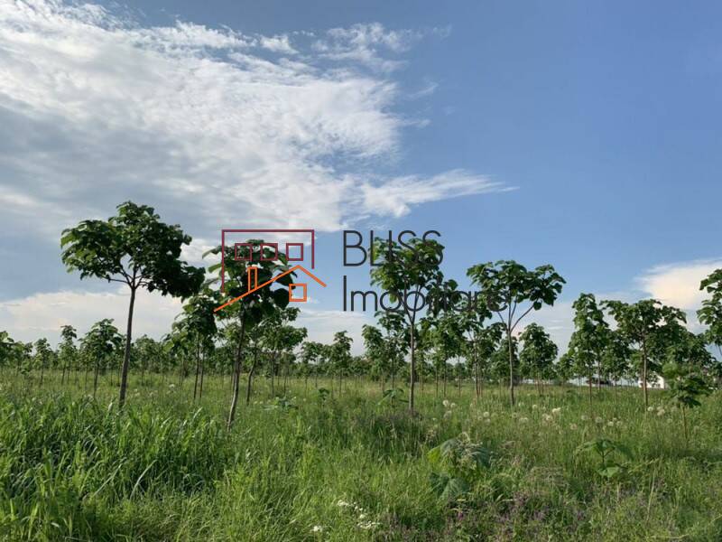 Photo 10 - BLISS Imobiliare