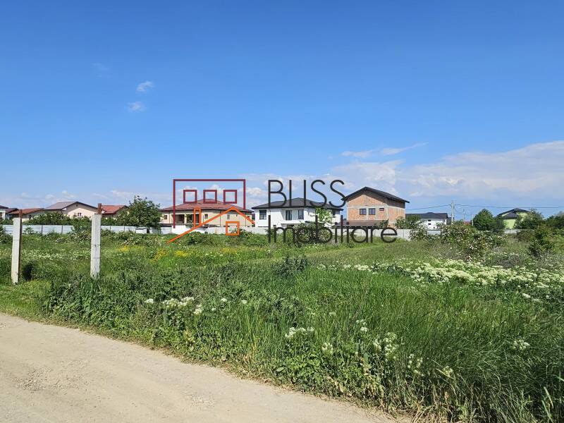 Photo 9 - BLISS Imobiliare