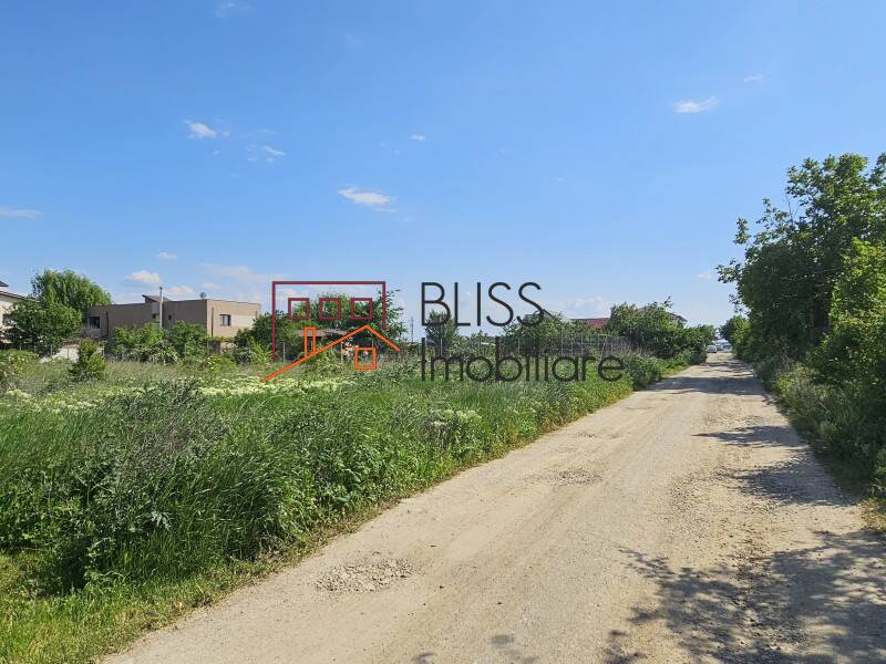 Photo 10 - BLISS Imobiliare