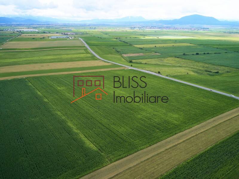 Photo 3 - BLISS Imobiliare