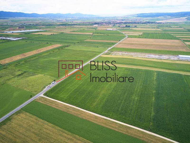 Photo 12 - BLISS Imobiliare