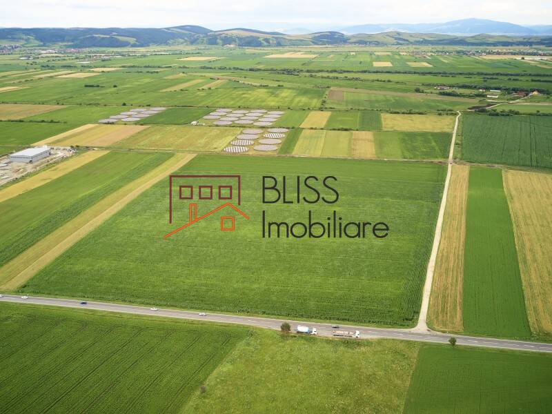 Photo 16 - BLISS Imobiliare