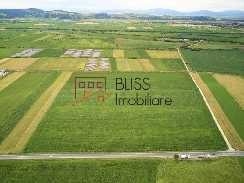 Photo 17 - BLISS Imobiliare