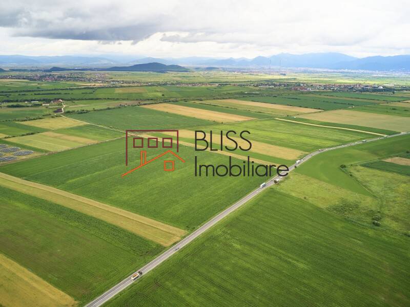 Photo 18 - BLISS Imobiliare