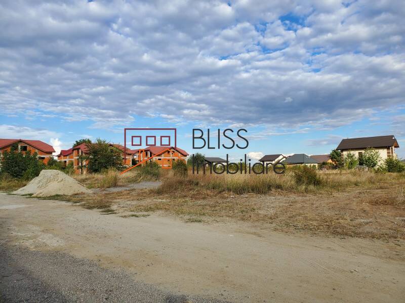 Photo 23 - BLISS Imobiliare