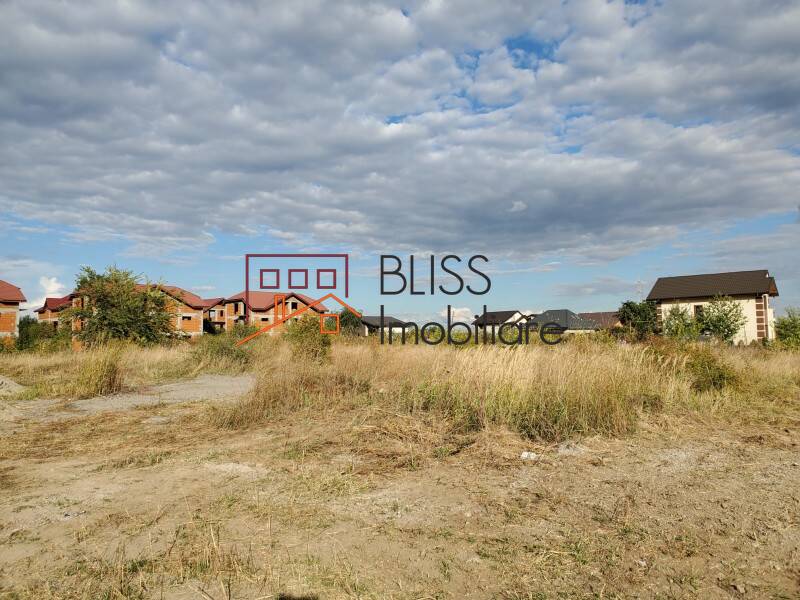 Photo 1 - BLISS Imobiliare