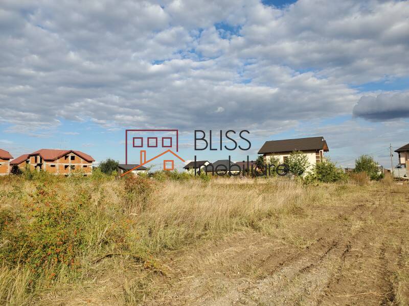 Photo 20 - BLISS Imobiliare