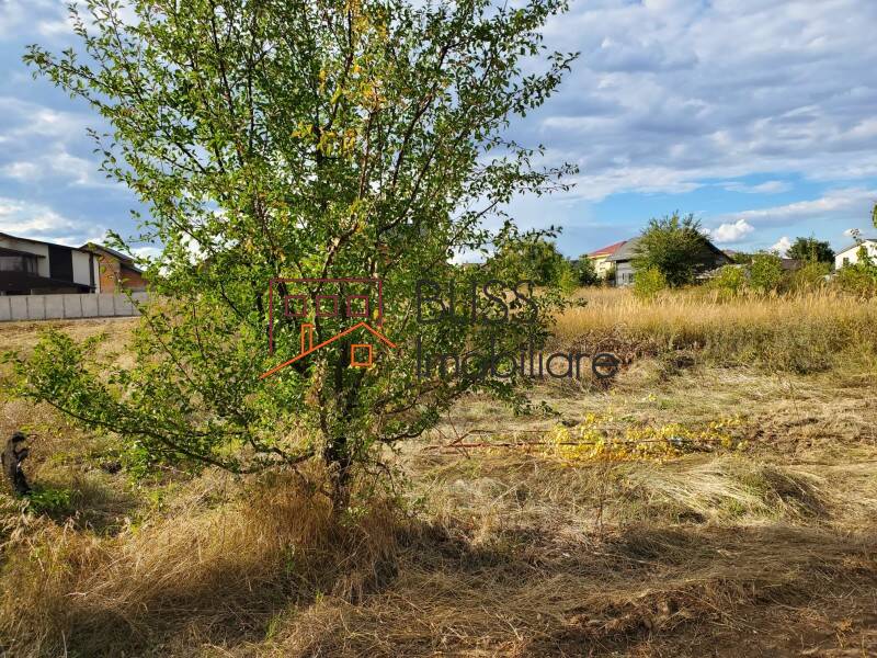 Photo 22 - BLISS Imobiliare