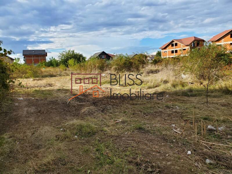 Photo 6 - BLISS Imobiliare