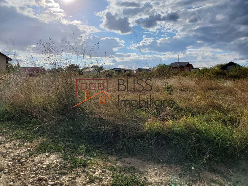 Photo 24 - BLISS Imobiliare