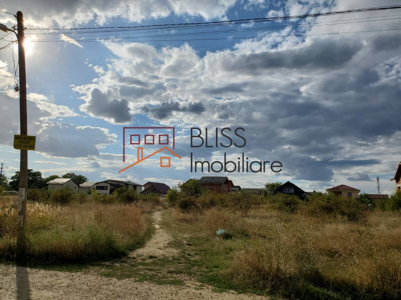 Photo 7 - BLISS Imobiliare