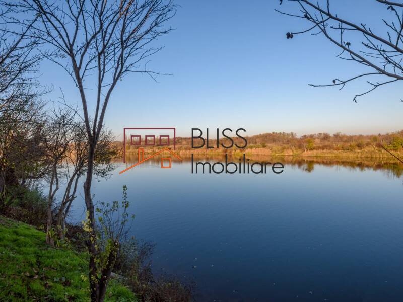 Vila 3 Camere Cu Vedere La Lac In Buftea | Bliss Imobiliare / Photo 21 - BLISS Imobiliare