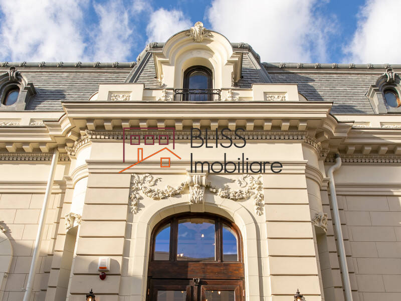 Luxury Class A Office Villa In The Heart Of Bucharest, Bucharest | Bliss Imobiliare / Photo 4 - BLISS Imobiliare