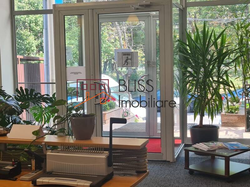 Office space for Rent Domenii | 1 Mai | Grivitei, Bucharest - ID:120073 | Bliss Imobiliare / Photo 4 - BLISS Imobiliare