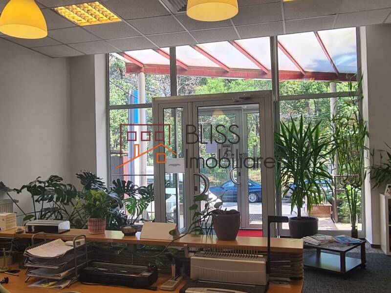 spațiu de birouri de Inchiriat Domenii | 1 Mai | Grivitei - ID:120073 | Bliss Imobiliare / Photo 7 - BLISS Imobiliare