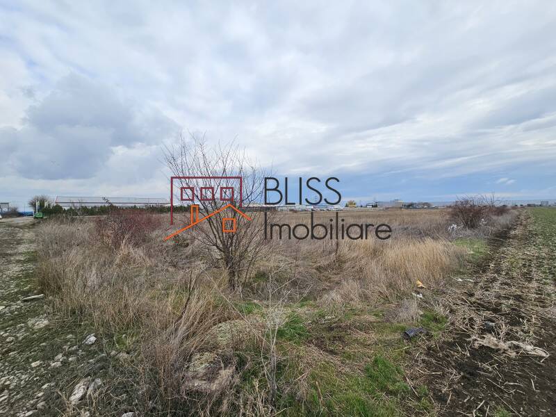 Photo 4 - BLISS Imobiliare