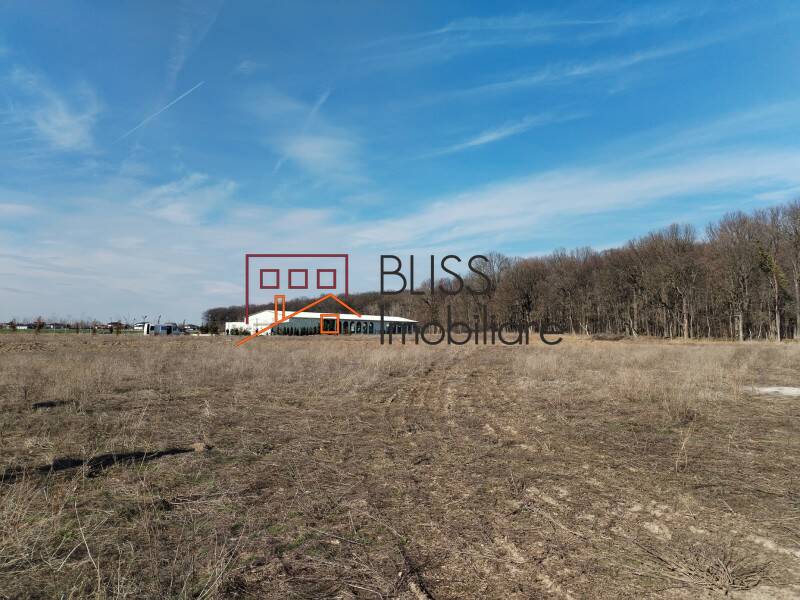 Photo 6 - BLISS Imobiliare