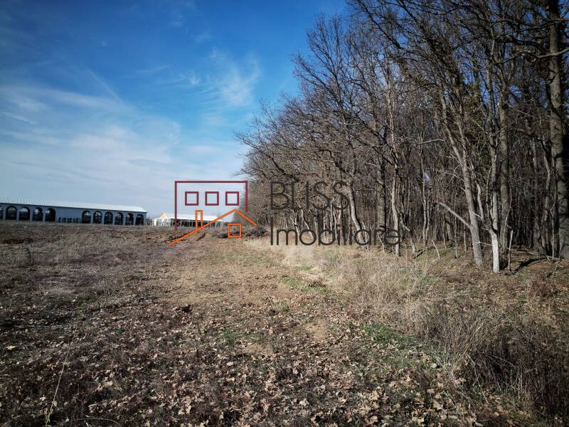 Photo 9 - BLISS Imobiliare