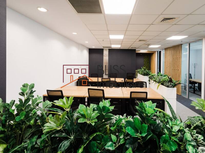 Private Office Space, Bucharest | Bliss Imobiliare / Photo 2 - BLISS Imobiliare