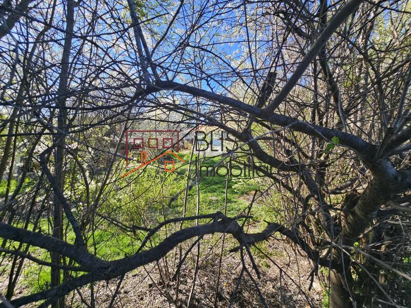 Photo 6 - BLISS Imobiliare