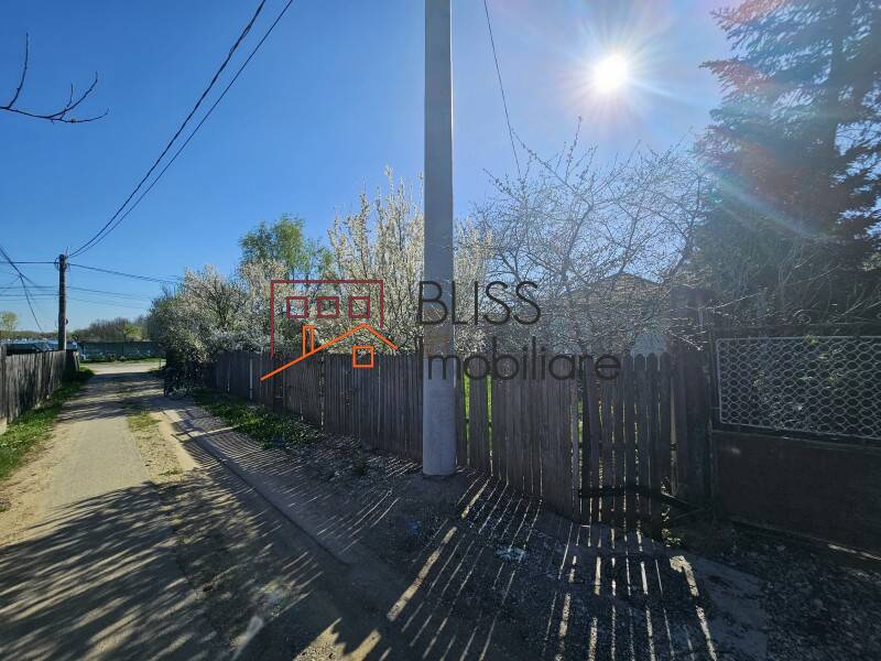 Photo 8 - BLISS Imobiliare