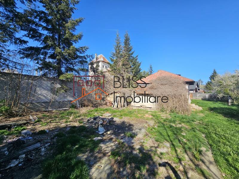 Photo 4 - BLISS Imobiliare