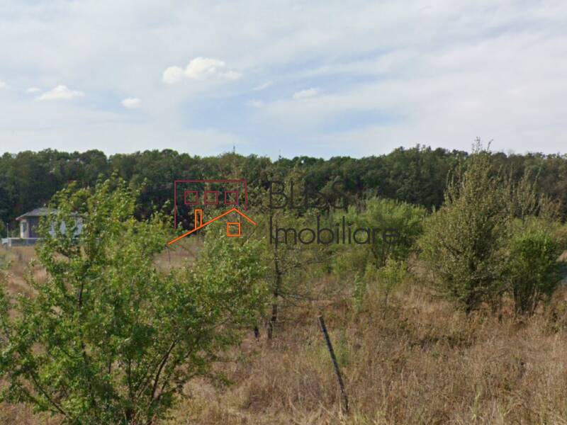 Photo 4 - BLISS Imobiliare