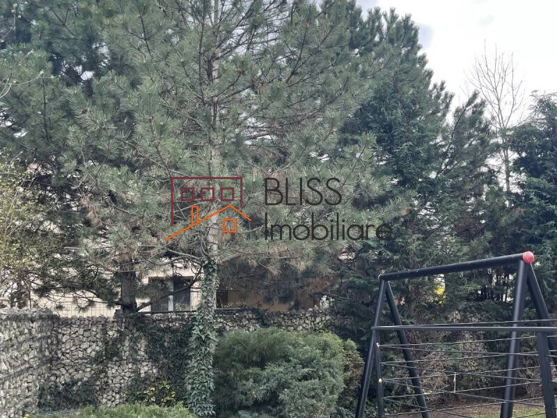 Casa Tip Duplex Cu 6 Camere Mogosoaia | Bliss Imobiliare / Photo 3 - BLISS Imobiliare