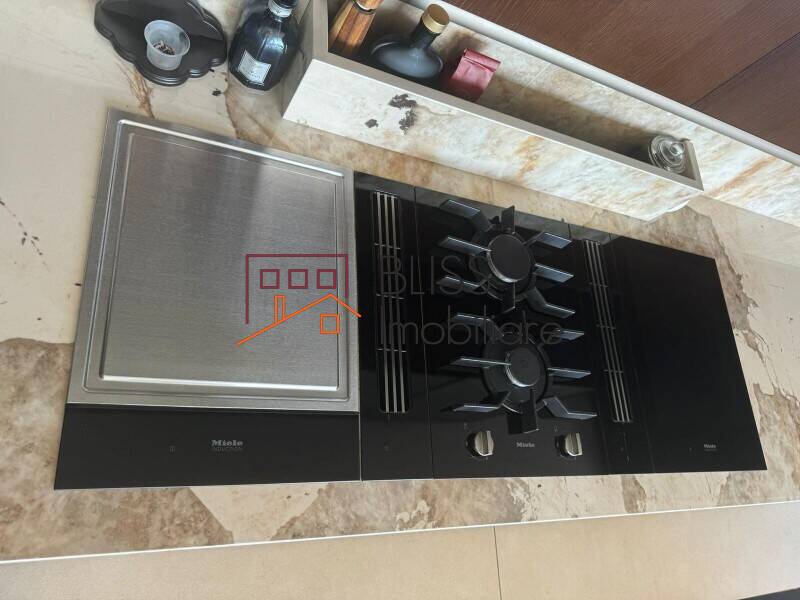 Apartament Penthouse de Vanzare Iancu Nicolae | Pipera - 6 Camere - ID:118508 | Bliss Imobiliare / Photo 18 - BLISS Imobiliare