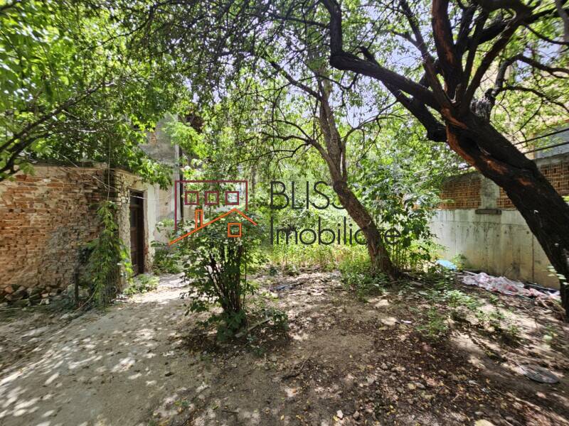 Photo 9 - BLISS Imobiliare