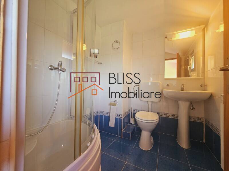 Vila 8 Camere Aproape De Scoala Britanica | Bliss Imobiliare / Photo 51 - BLISS Imobiliare