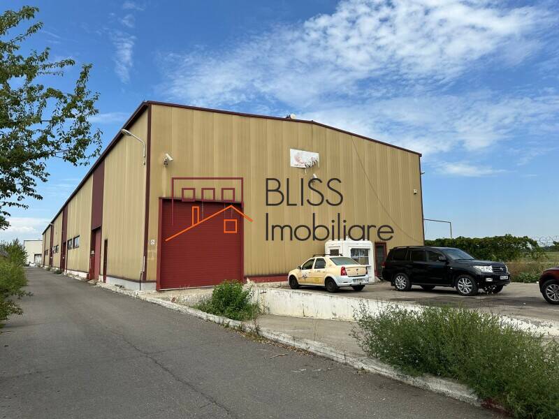 Spatiu Industrial / Logistica Premium In Otopeni | Bliss Imobiliare / Photo 1 - BLISS Imobiliare