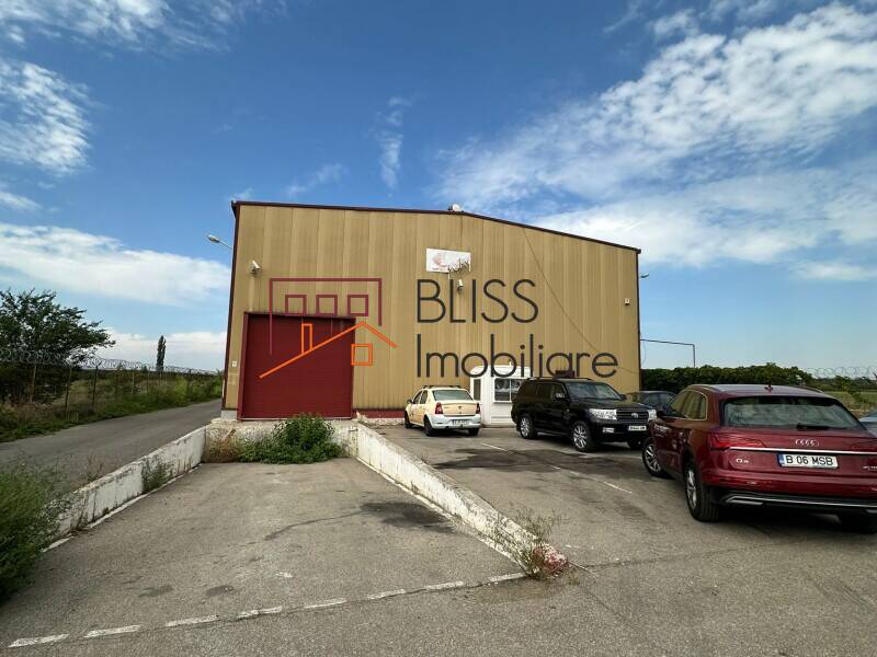 Spatiu Industrial / Logistica Premium In Otopeni | Bliss Imobiliare / Photo 5 - BLISS Imobiliare