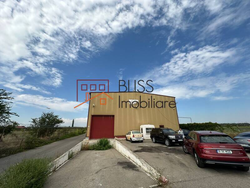 Spatiu Industrial / Logistica Premium In Otopeni | Bliss Imobiliare / Photo 7 - BLISS Imobiliare
