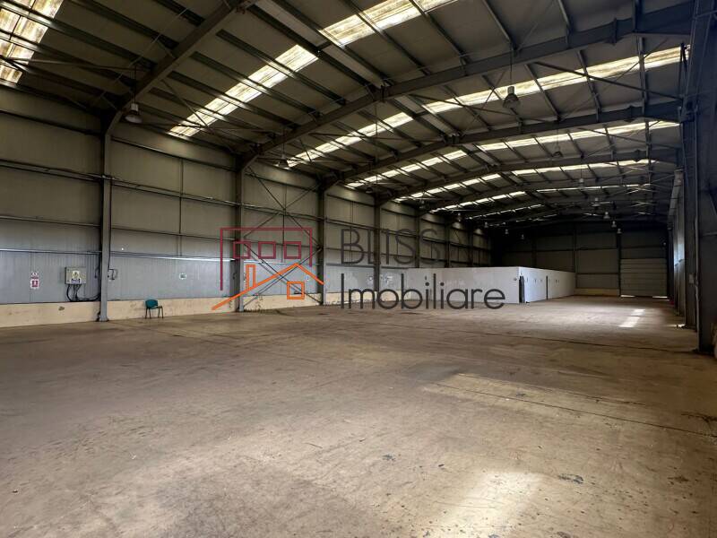 Prime Warehouse/Industrial Space In Otopeni, Bucharest / Ilfov | Bliss Imobiliare / Photo 12 - BLISS Imobiliare