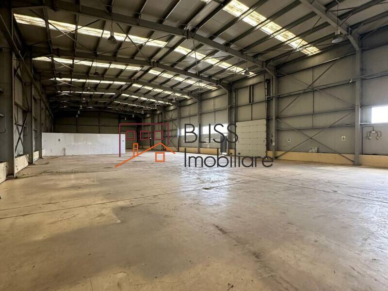 Prime Warehouse/Industrial Space In Otopeni, Bucharest / Ilfov | Bliss Imobiliare / Photo 14 - BLISS Imobiliare