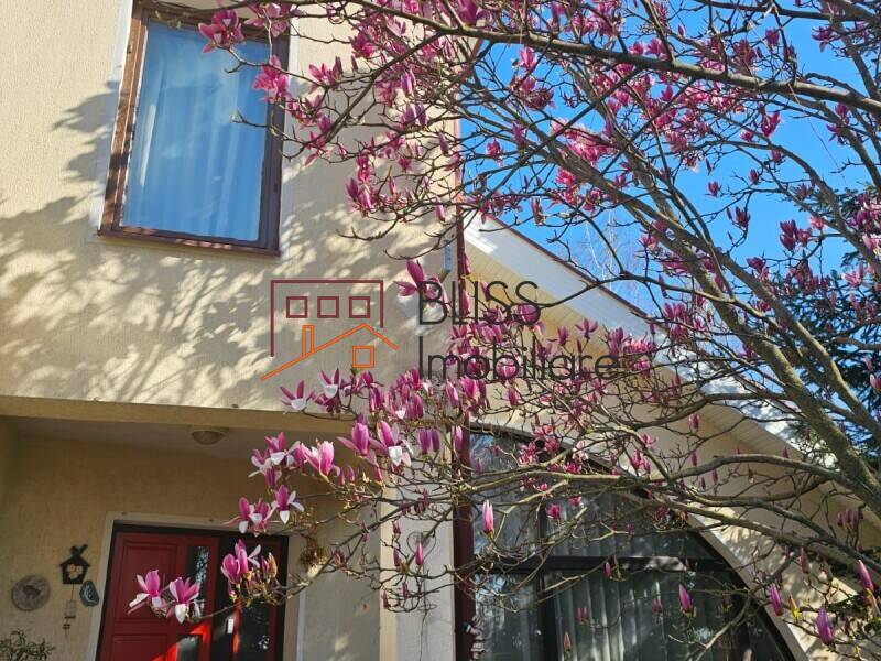 3-Bedroom House With Garden, Bucharest / Ilfov | Bliss Imobiliare / Photo 11 - BLISS Imobiliare