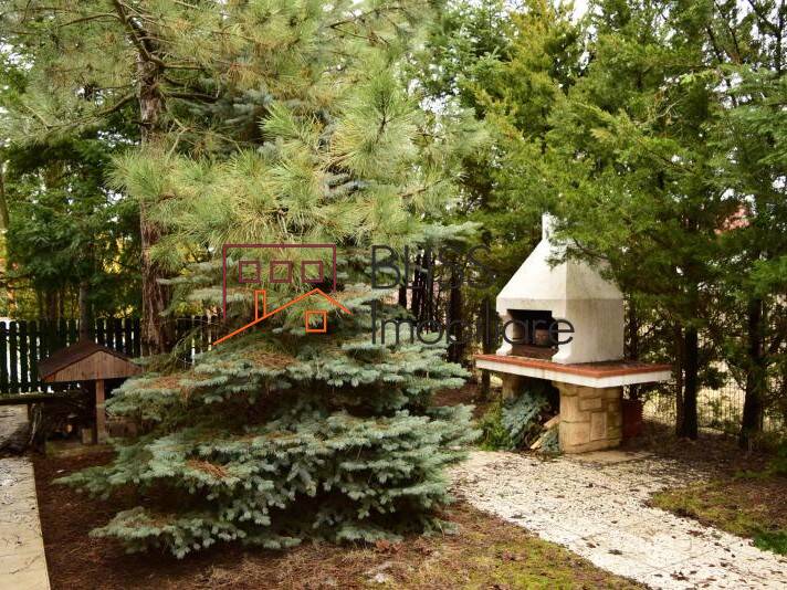 Vila Cu 6 Camere | Bliss Imobiliare / Photo 8 - BLISS Imobiliare