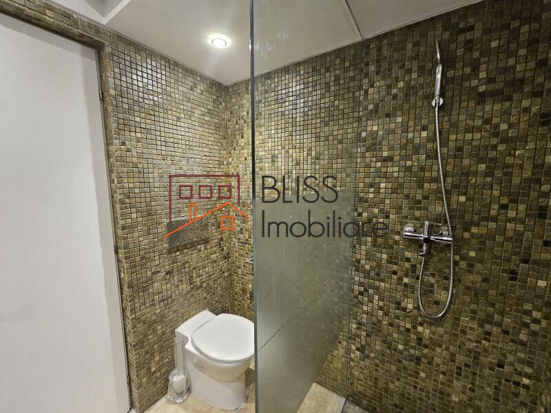 Spacious 5-Bedroom Villa In Gated Complex, Bucharest / Ilfov | Bliss Imobiliare / Photo 17 - BLISS Imobiliare