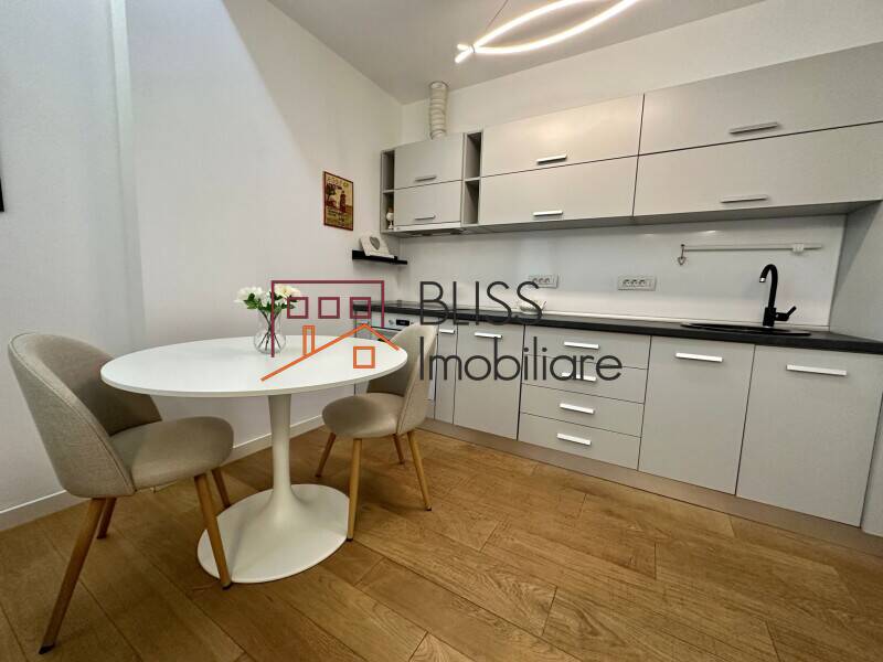 3-Room Apartment For Rent One Herastrau Park, Bucharest | Bliss Imobiliare / Photo 4 - BLISS Imobiliare
